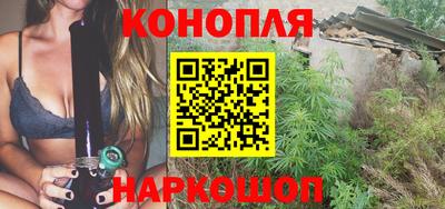 индика Пенза