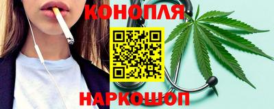 индика Пенза