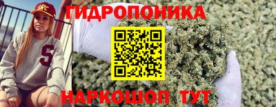 индика Пенза