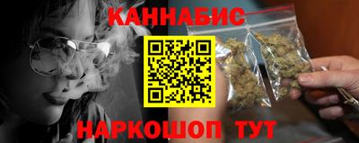 индика Пенза