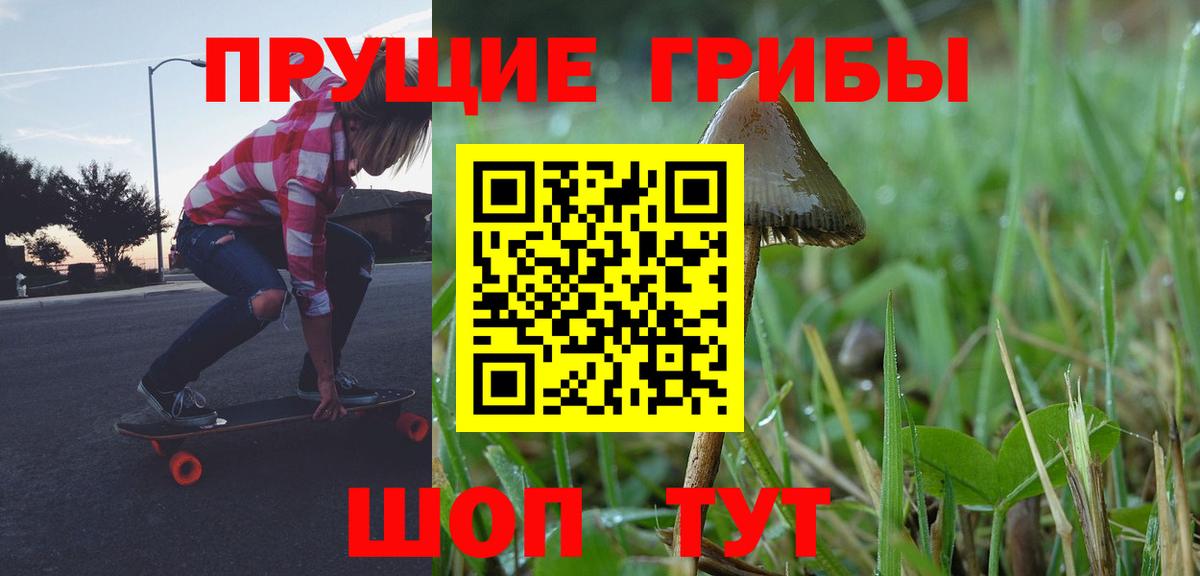 Галлюциногенные грибы прущие грибы  Вход с VPN  Псилоцибиновые грибы GOLDEN TEACHER  Баксан 